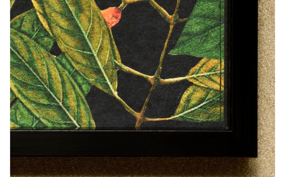 アートフレーム CURANDO．光輝 koki